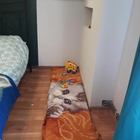Appartement U Dany Wita Was W Otoczeniu Gor I Dzikiej Przyrody *
