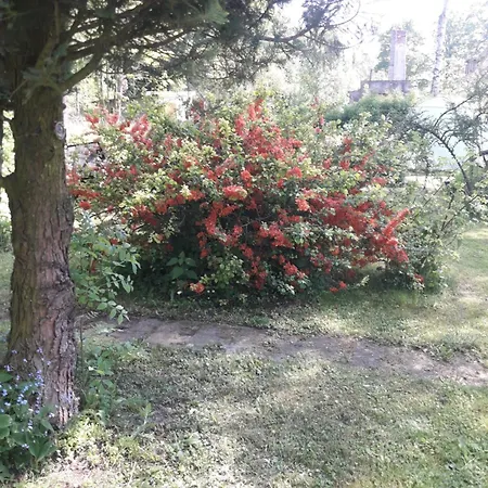 Appartement U Dany Wita Was W Otoczeniu Gor I Dzikiej Przyrody