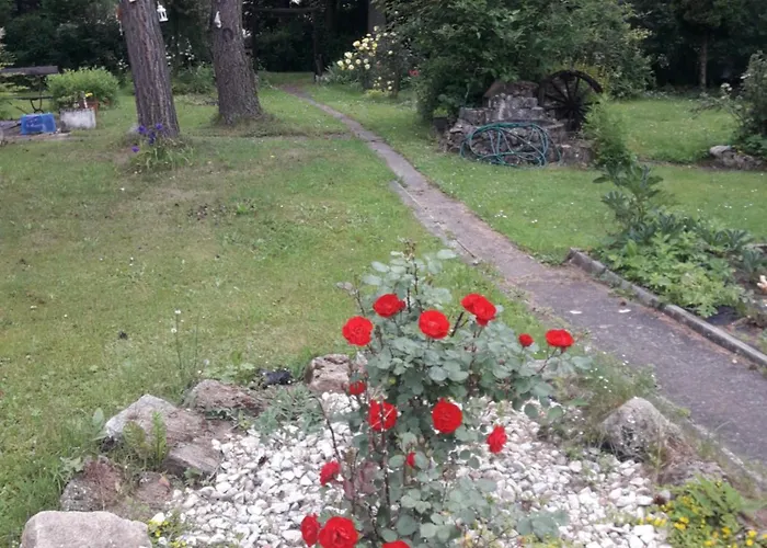 U Dany Wita Was W Otoczeniu Gor I Dzikiej Przyrody 公寓 Golińsk