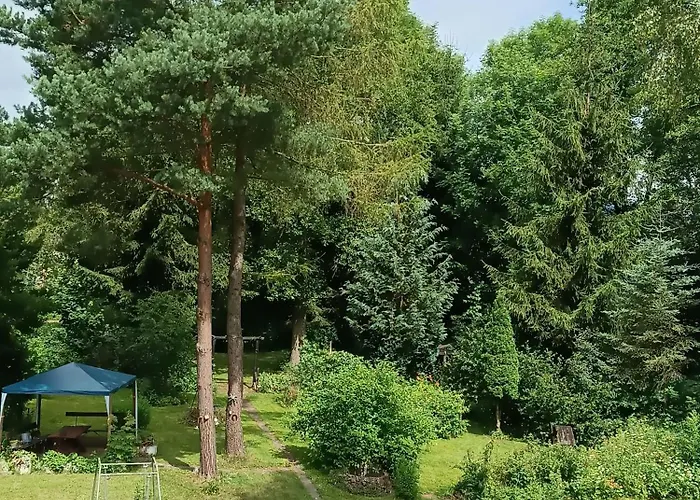 Apartamento U Dany Wita Was W Otoczeniu Gór I Dzikiej Przyrody