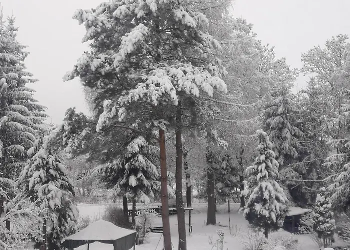 U Dany Wita Was W Otoczeniu Gór I Dzikiej Przyrody * Golinsk