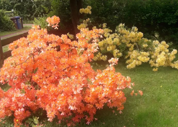 Apartamento U Dany Wita Was W Otoczeniu Gór I Dzikiej Przyrody