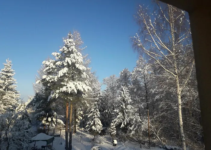 公寓 U Dany Wita Was W Otoczeniu Gor I Dzikiej Przyrody *