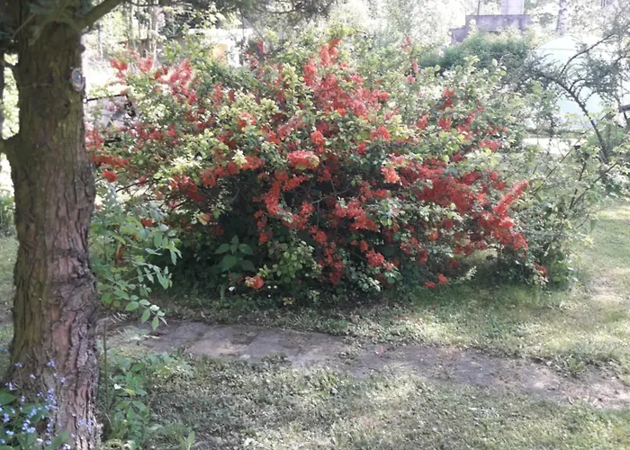 公寓 U Dany Wita Was W Otoczeniu Gor I Dzikiej Przyrody